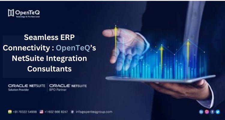 Seamless ERP Connectivity OpenTeQs NetSuite Integration Cons